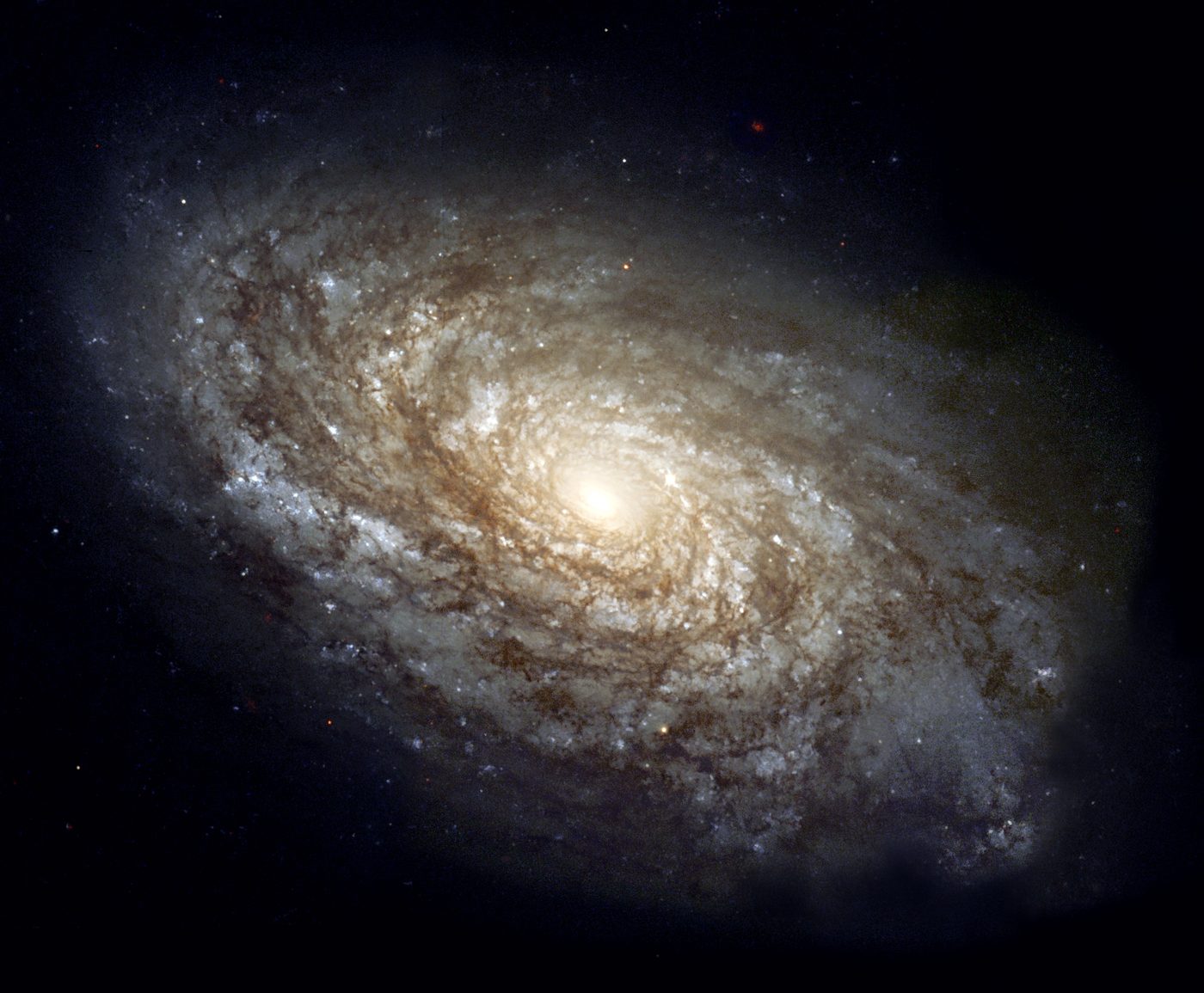 גלקסיית NGC 4414 כפי שצולמה על ידי טלסקופ החלל האבל - זרועות ספירליות זוהרות מלאות בכוכבים